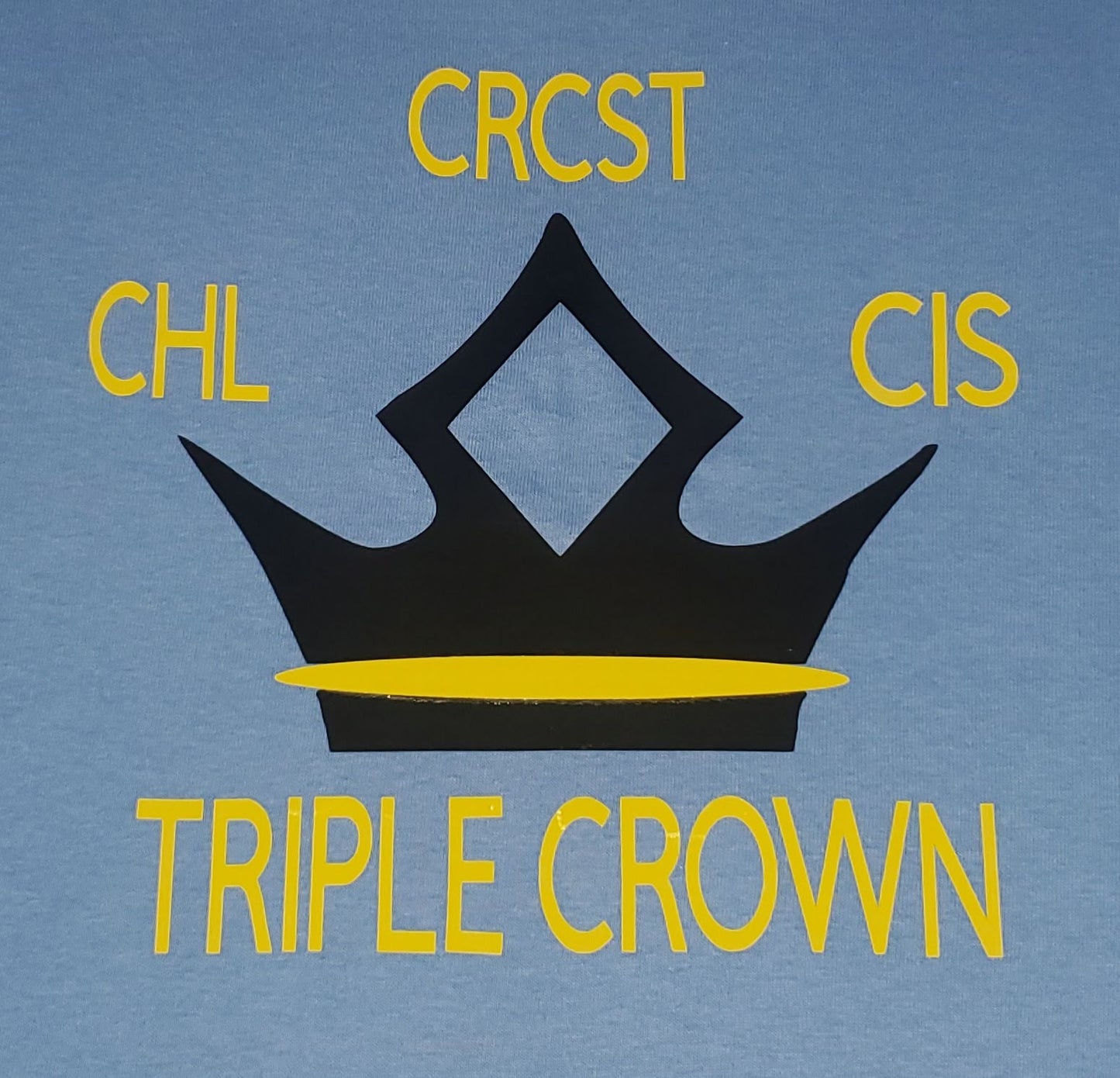 STERILE PROCESSING / SPD HOODIE triple crown