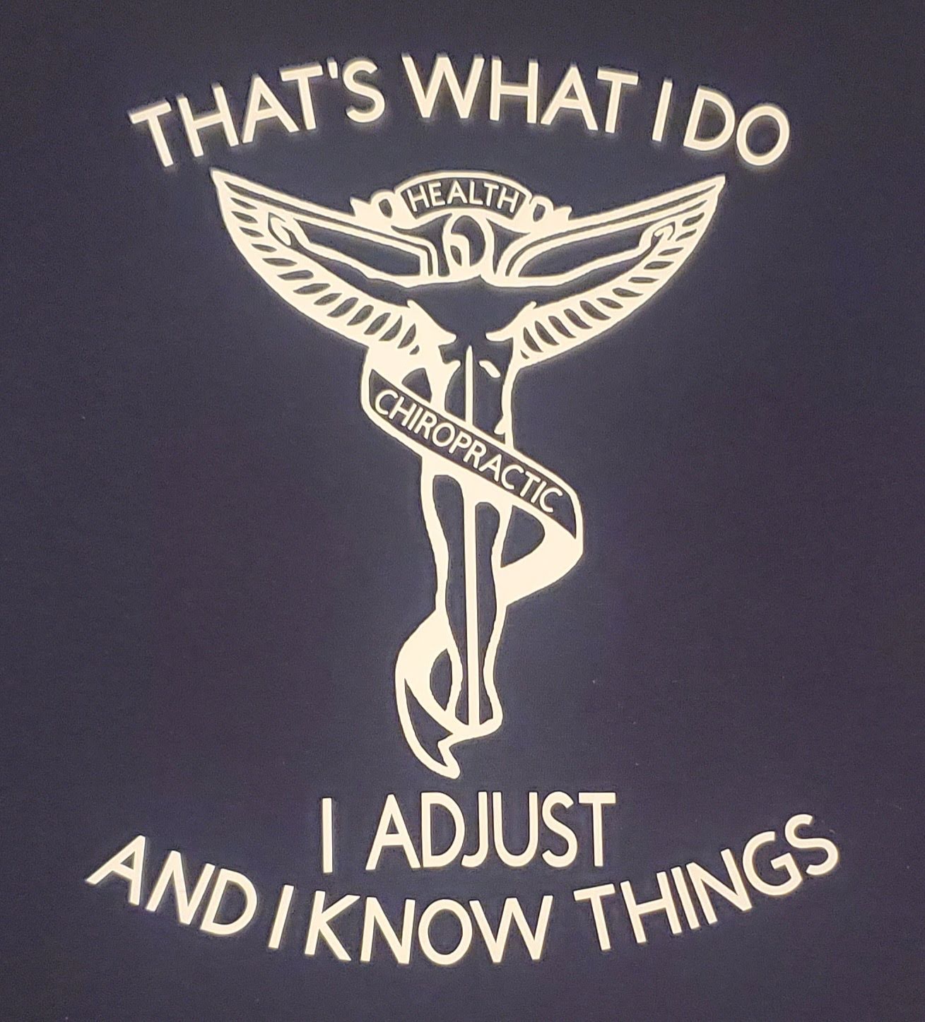 CHIROPRACTIC SWEATSHIRT that's what i do, i adjust and...