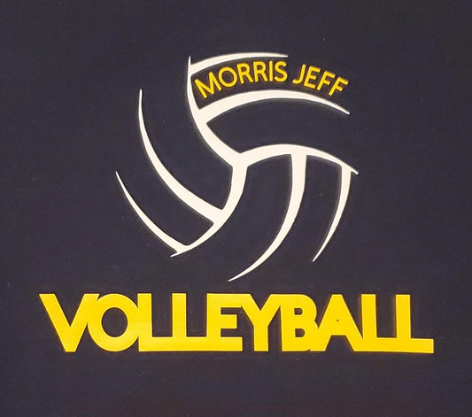 SoFly VOLLEYBALL HOODIE open ball