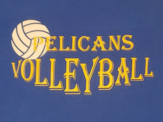 SoFly VOLLEYBALL SWEATSHIRT w/team name